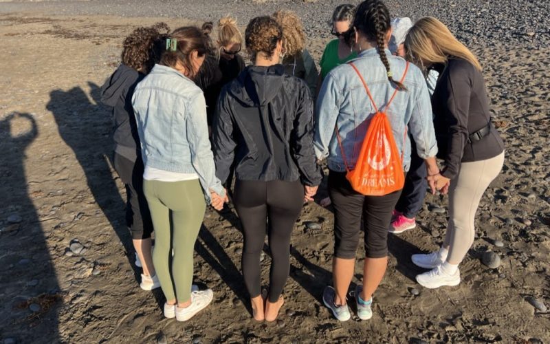 0A146A41-B295-4D82-AA20-523854C4FA11_1_105_c